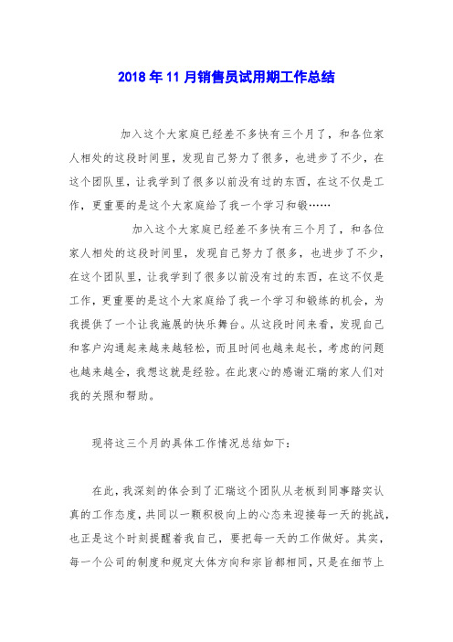 2018年11月销售员试用期工作总结
