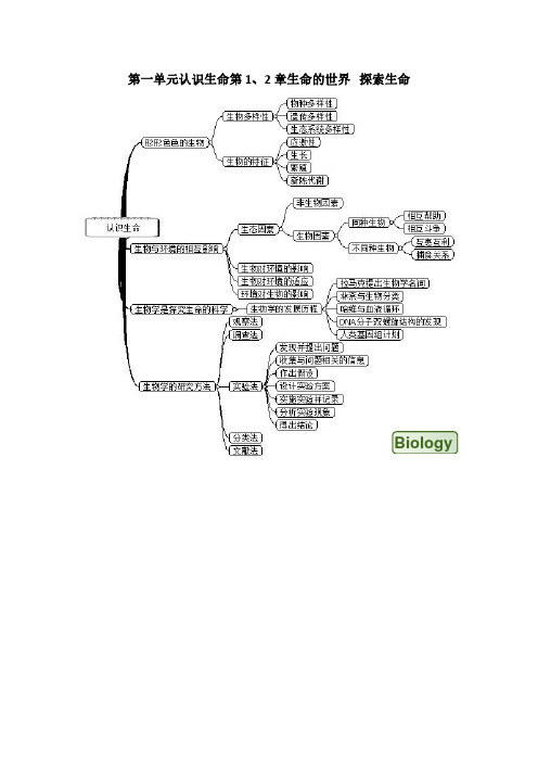 七年级下册生物思维导图