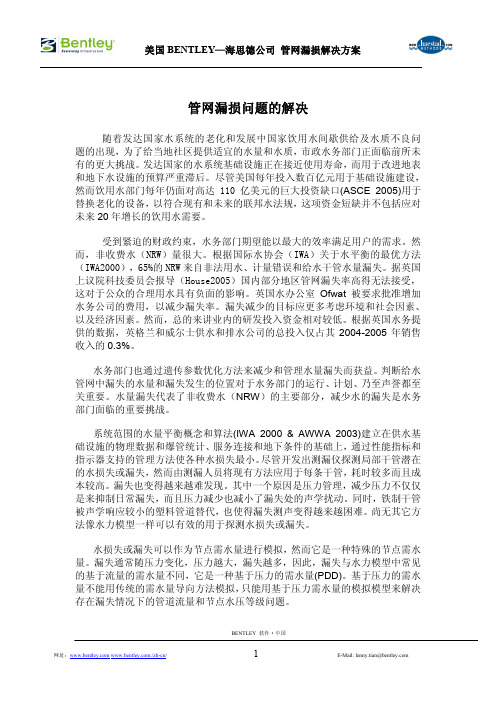 管网漏损问题的解决