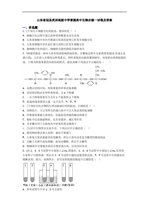 山东省冠县武训高级中学普通高中生物必修一试卷及答案