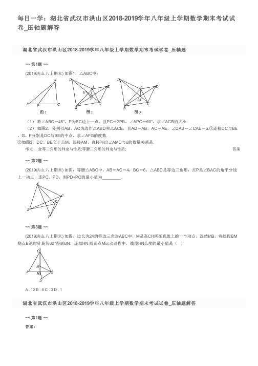 每日一学：湖北省武汉市洪山区2018-2019学年八年级上学期数学期末考试试卷_压轴题解答