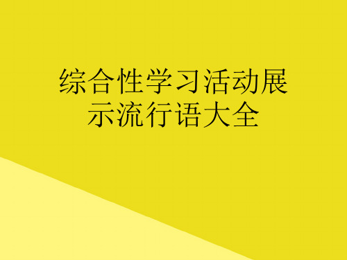 综合性学习活动展示流行语大全PPT资料(正式版)