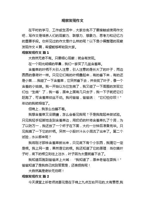 关于观察发现作文4篇