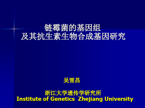 链霉菌的基因组及其抗生素生物合成基因研究