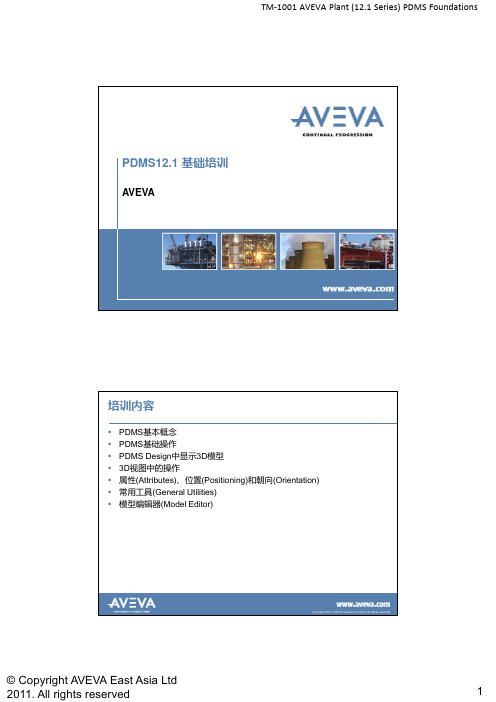 PDMS12.1 基础培训-TM-1001 AVEVA Plant (12.1) PDMS Foundations (GZ-1)