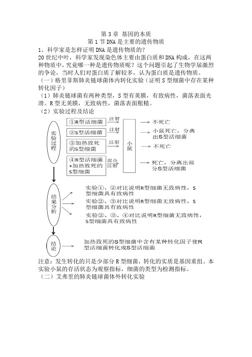 第3章基因的本质知识清单 高一下学期生物人教版必修2