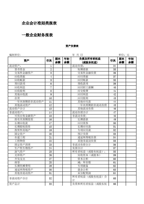 2013版财务报表模板