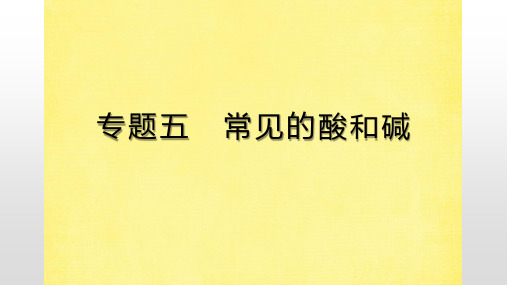 2020届安徽省中考化学一轮复习课件：模块一 身边的化学物质  专题五 常见的酸和碱 (共31张PPT)