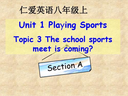 仁爱版八年级英语上册 Unit 1 Topic 3 Section A 课件(共28张PPT)