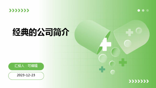 经典的公司简介PPT