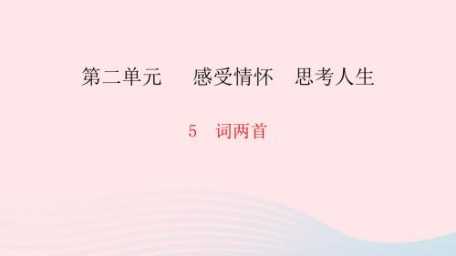 九年级语文下册第二单元5词两首习题课件语文版