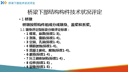 桥梁技术状况评定—下部结构评定