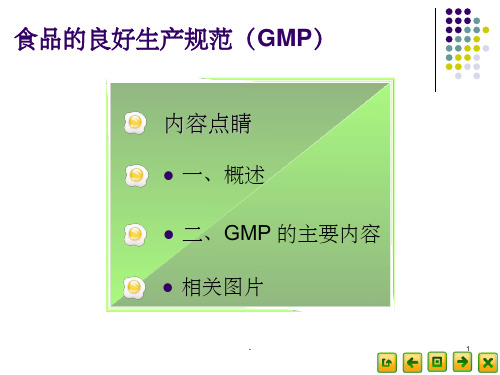 食品的良好生产规范(GMP) ppt