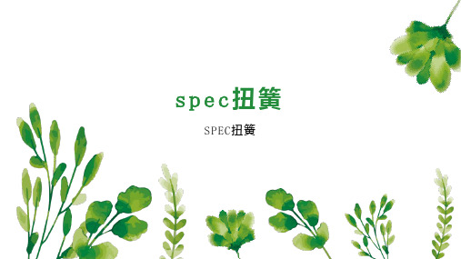 spec扭簧