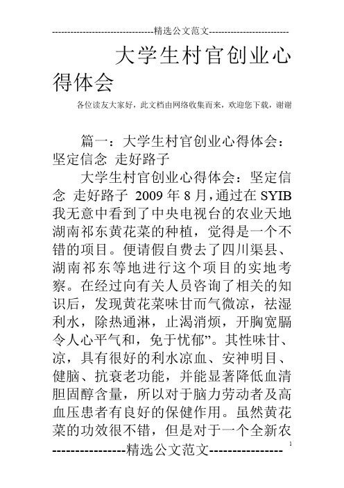 大学生村官创业心得体会