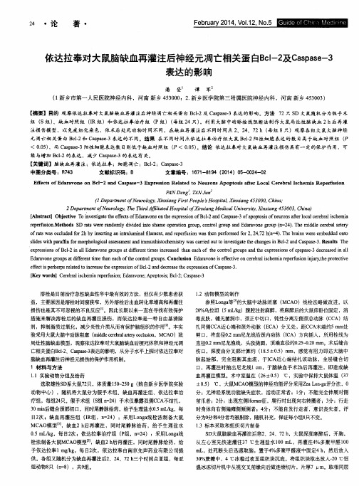 依达拉奉对大鼠脑缺血再灌注后神经元凋亡相关蛋白Bcl-2及Caspase-3表达的影响