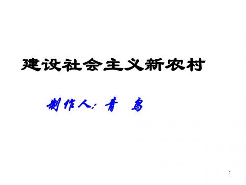 九年级政治建设社会主义新农村