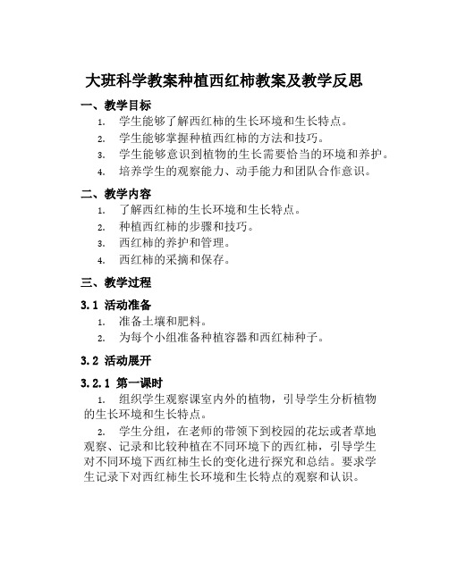 大班科学教案种植西红柿教案及教学反思