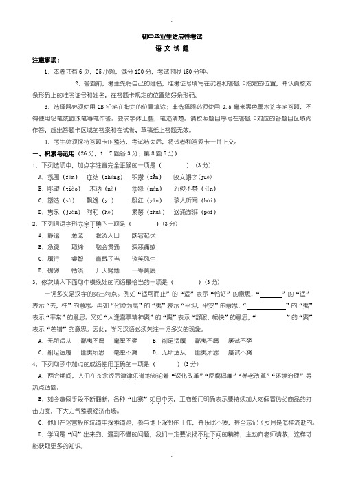 2020届中考复习湖北省丹江口市中考适应性考试语文试题(有配套答案)