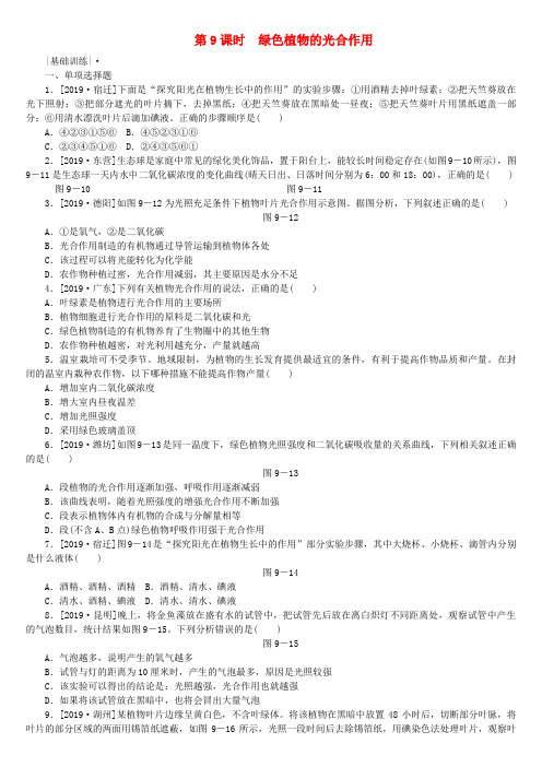 2018年中考生物：第9课时-绿色植物的光合作用课时作业(含答案)