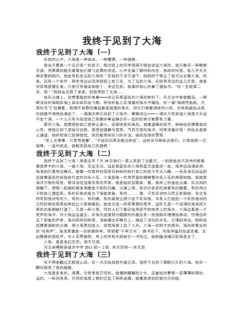 我终于见到了大海作文共九篇