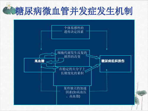 糖尿病微血管病变PPT.