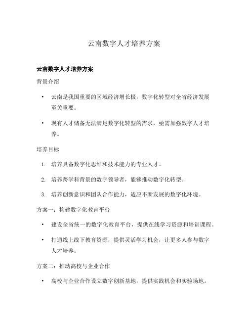 云南数字人才培养方案