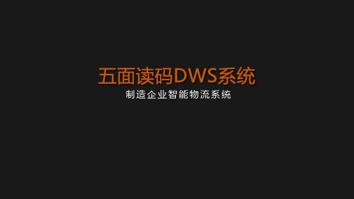 DWS 五面扫系统