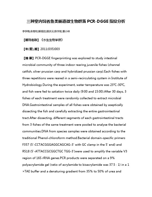 三种室内饲养鱼类肠道微生物群落PCR-DGGE指纹分析