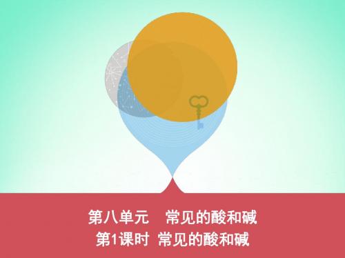 2019中考化学复习第八单元常见的酸和碱第1课时常见的酸和碱课件