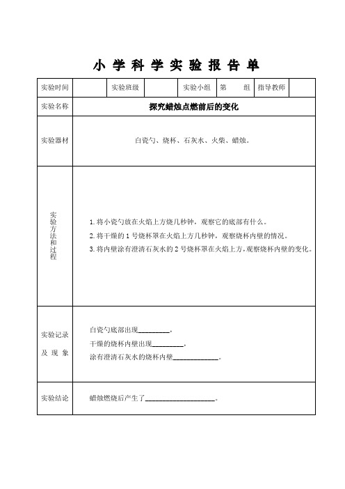 新苏教版科学六年级上实验报告单