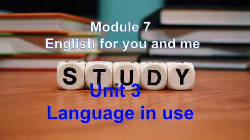 外研版九年级英语下册Module 7 English for you and me Unit 3 