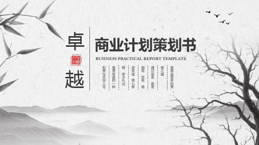 完整标准版商业计划书报告(文化创意-传媒-文化传播-茶-工作室)ppt模板