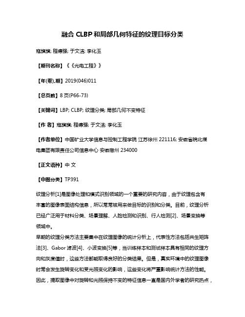 融合CLBP和局部几何特征的纹理目标分类