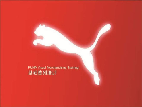 Puma陈列基础培训_1206_(NXPowerLite)