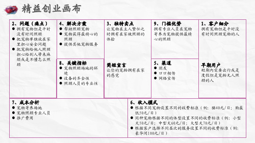 宠物护理精益创业画布