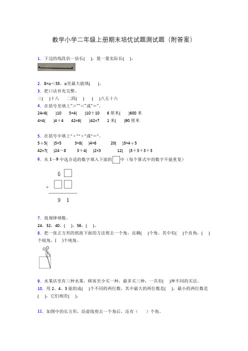 数学小学二年级上册期末培优试题测试题(附答案)