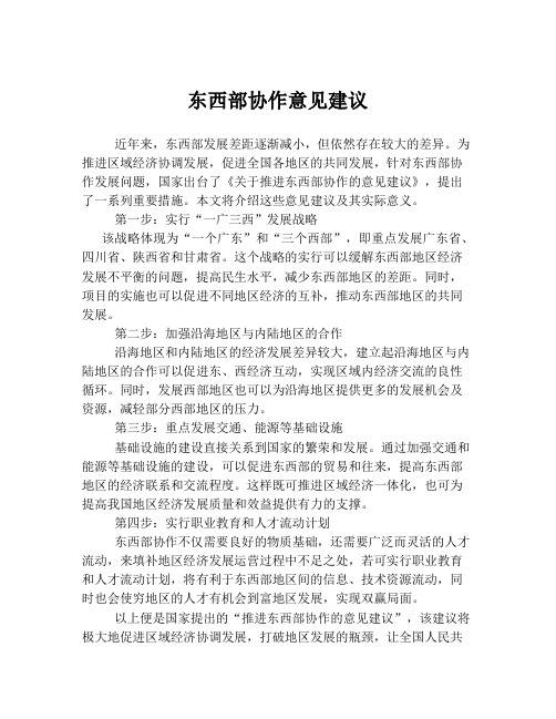 东西部协作意见建议