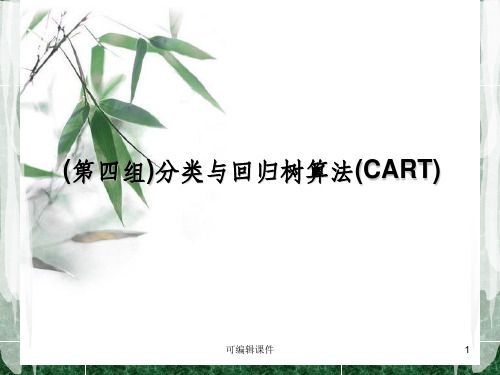 大数据经典算法CART 讲解PPT课件