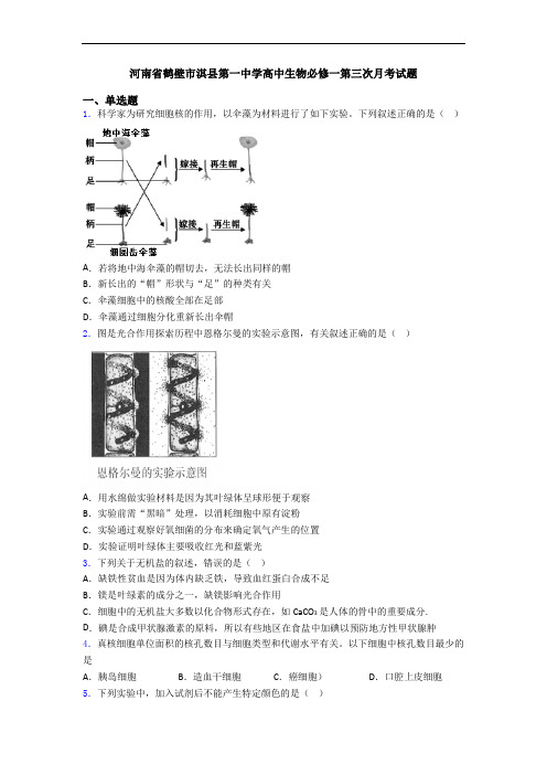 河南省鹤壁市淇县第一中学高中生物必修一第三次月考试题