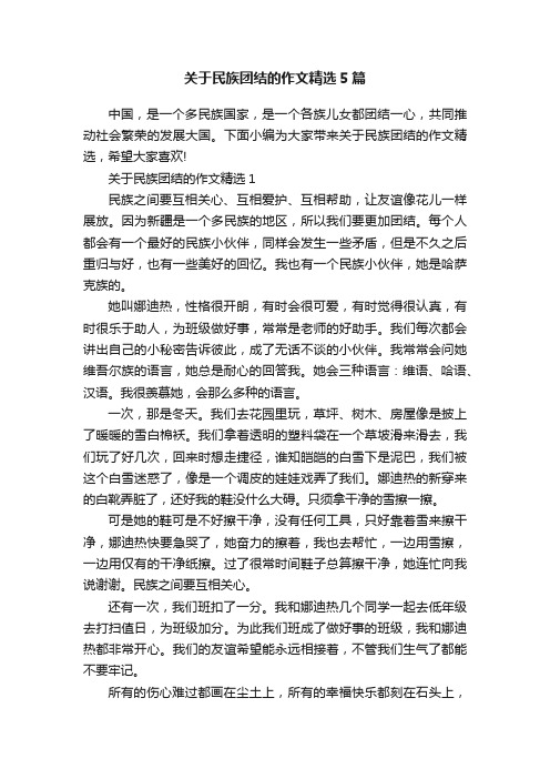 关于民族团结的作文精选5篇