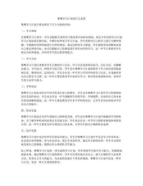 雏鹰学习计划是什么意思