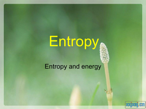 Entropy&Energy