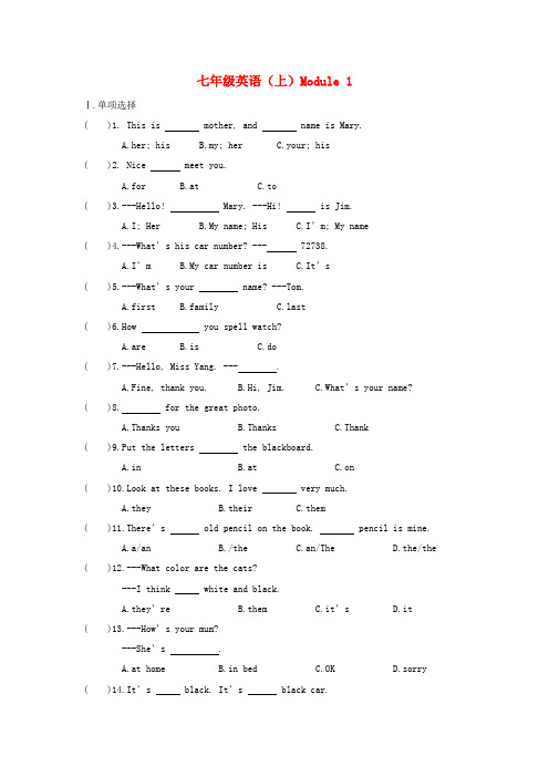七年级英语上册 Unit1 Topic1《Nice to meet you》同