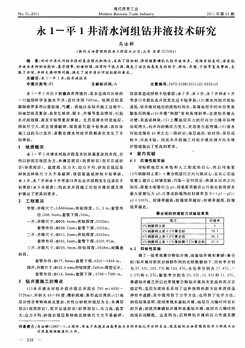 永1-平1井清水河组钻井液技术研究