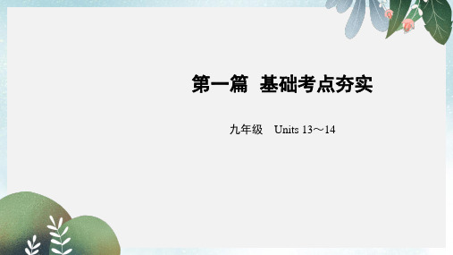 中考英语总复习 第1篇 基础考点夯实 九年级 Units 13-14课件 人教新目标版