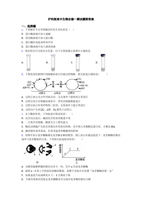 沪科版高中生物必修一测试题附答案