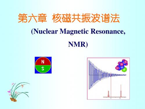 第六章核磁共振波谱法