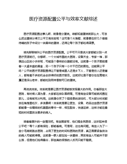 医疗资源配置公平与效率文献综述