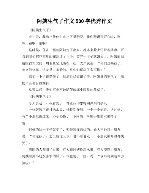 阿姨生气了作文500字优秀作文